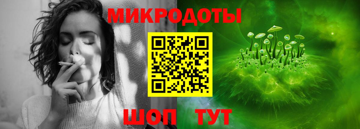 Псилоцибиновые грибы Psilocybe Салехард